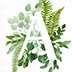 Green Brush is een zeer decoratieve stijl die je de kans geeft om te pronken met je liefde voor de natuur. De weelderige planten rondom de letters geven deze stijl een levendig en uniek karakter. Deze buitengewone uitstraling kan op allerlei interessante en creatieve manieren gebruikt worden.